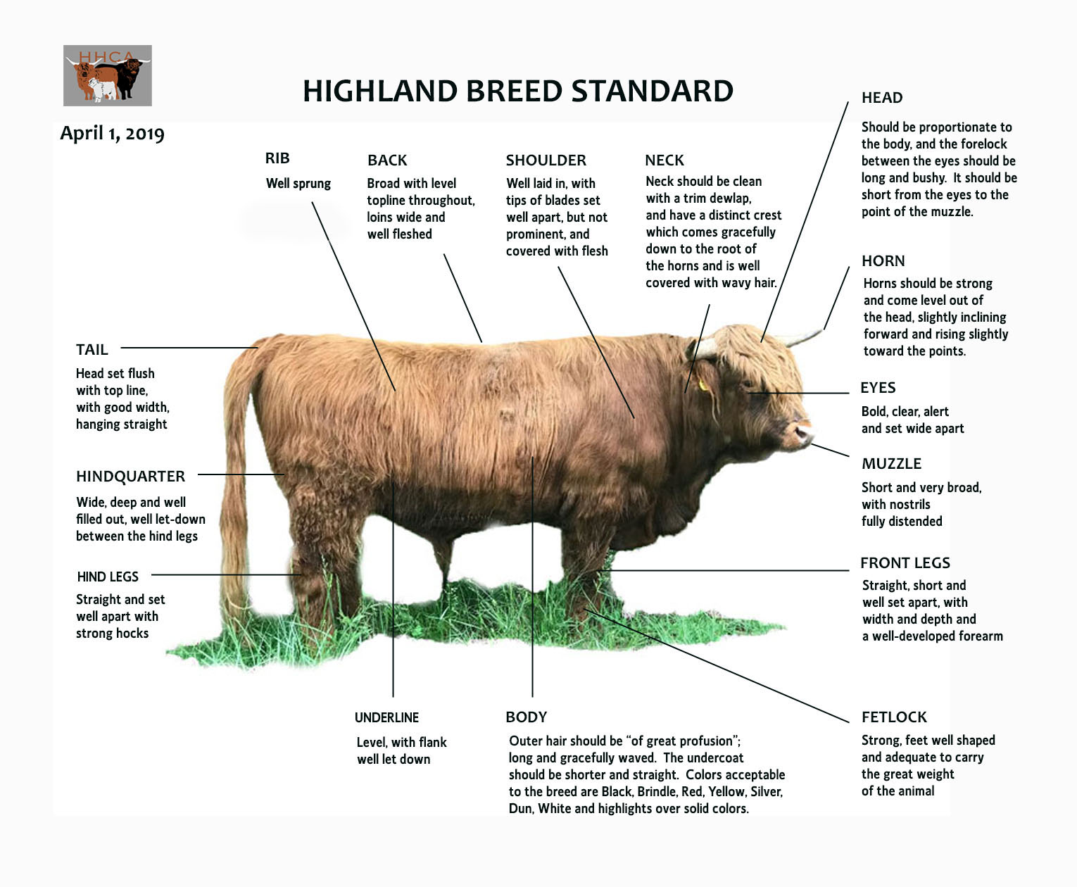 Highland Cattle Color Chart