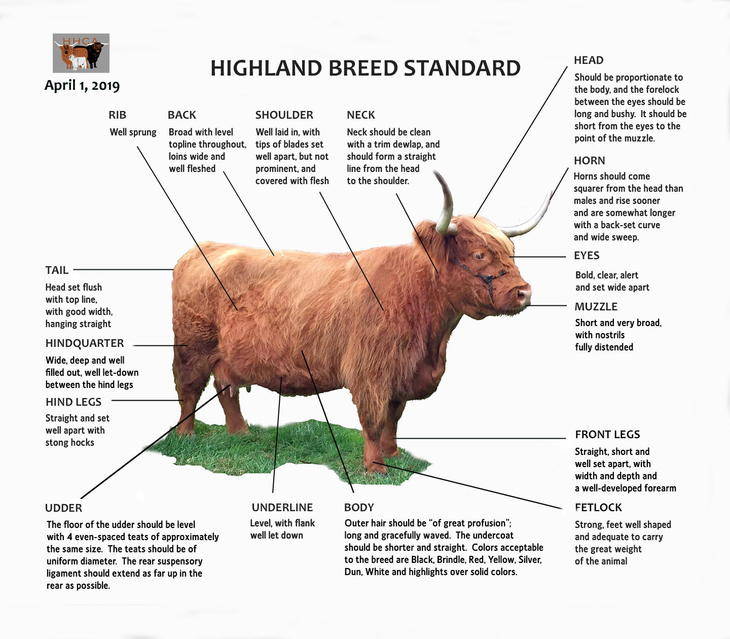 Highland Cattle Society