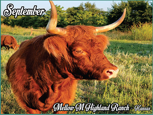 Heartland Highland Cattle Association 2023 HHCA Calendar